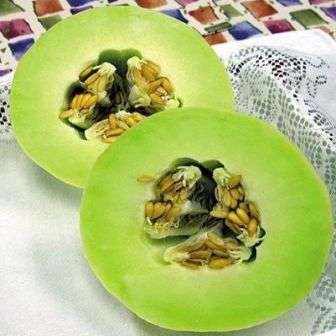 Melon - Spanspek - Green Honey Dew - Cucumis melo - Fruit Seeds