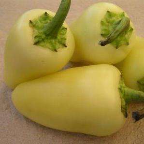 5 Buenos Caribe Chilli Pepper Seeds - Capsicum annuum Chili Chile - Vegetable Seeds
