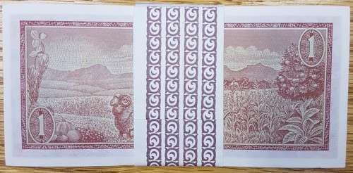ONE RAND TW DE JONGH UNC BANK NOTES IN SERIES X 100 WITH RESERVE BANK WRAPPER - 3rd ISSUE 1975
