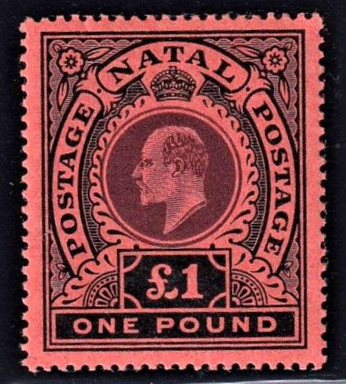 NATAL 1908 KEV11 £1 SUPERB MINT - CV R8500+