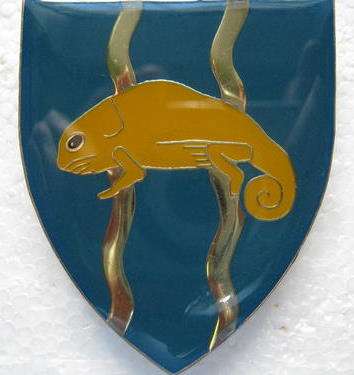 SADF TUGELA COMMANDO SHOULDER FLASH