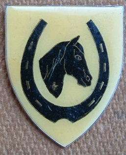 SADF EQUESTRIAN CENTRE SHOULDER FLASH