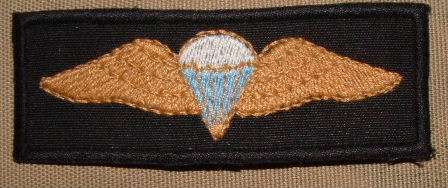 SA DURBAN CITY POLICE PARACHUTE CLOTH FULL SIZE WINGS