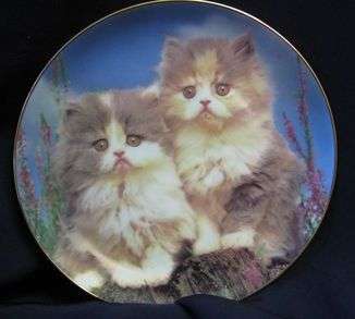 Kitten Plate: Purrfect Portraits collection (Danbury Mint) 'What can the matter be?'