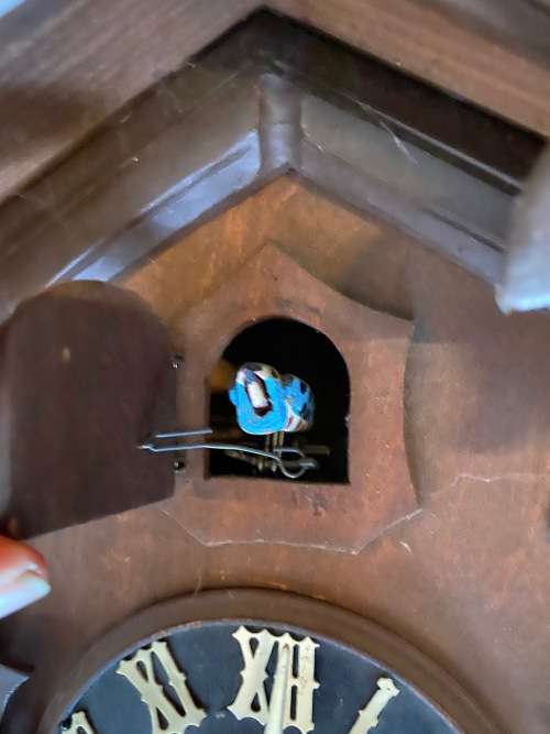Cuckoo Clocks