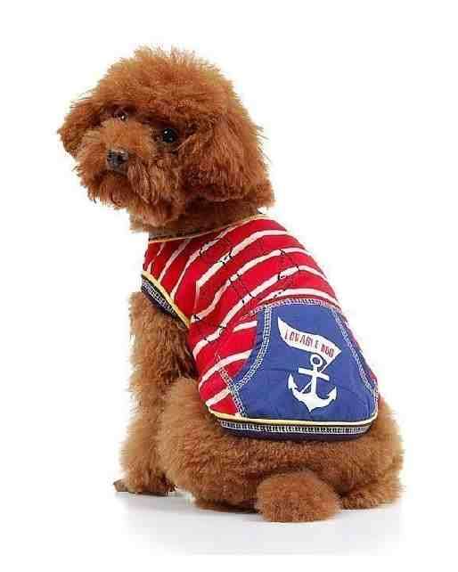 Cute Dog Outfit
