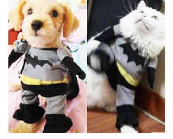 Batman Dog Dress