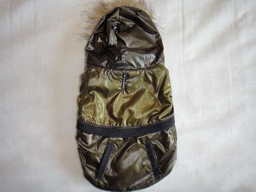 Fashion Dog Outfit