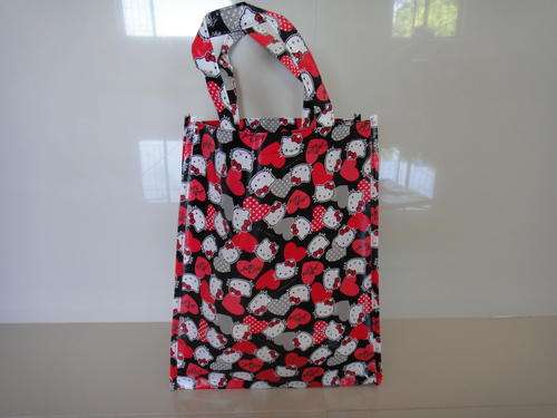 Hello Kitty Carry Bag