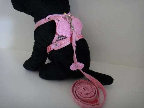 Cute Dog Leash