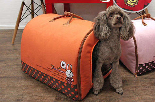 Cute Dog Beds