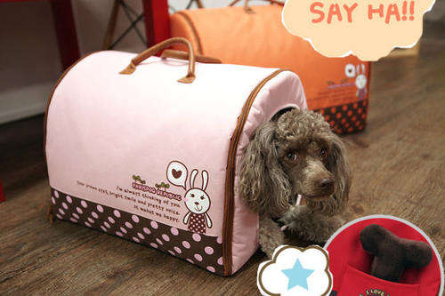 Cute Dog Beds