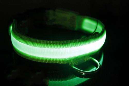 LED Dog Pet Collar (Green, Large)
