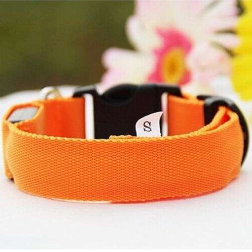 LED Dog Pet Collar (Red, Small)