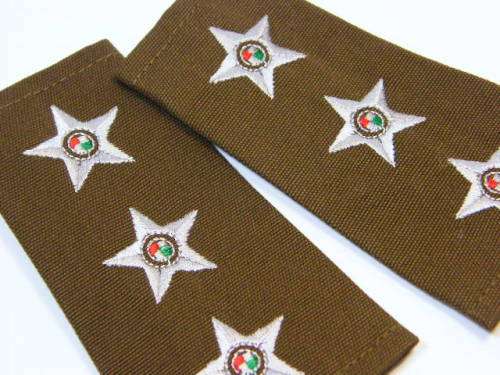 Pair of SANDF Captain embroidered rank epaulette - as per photo
