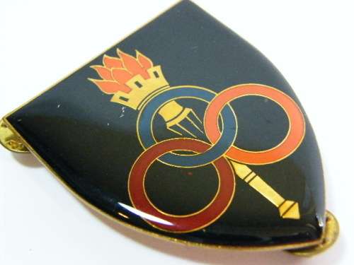 SADF services school shoulder flash