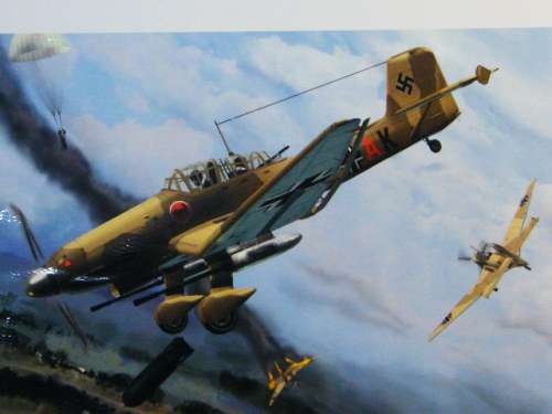 Military Aviation print of WW2 Junkers Ju 87-D stuka German figthing plane