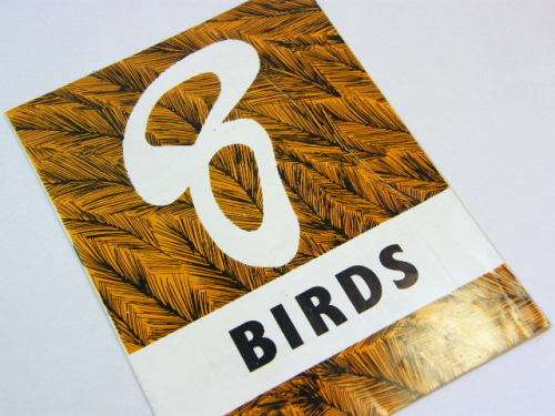8 Birds Satirical Ornithology for South Africa booklet