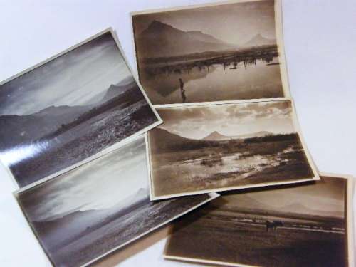 Lot of 5 photos of Maitland circa 1900