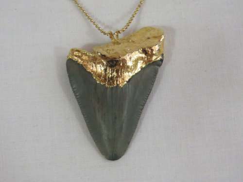 Megalodon shark tooth pendant and necklace