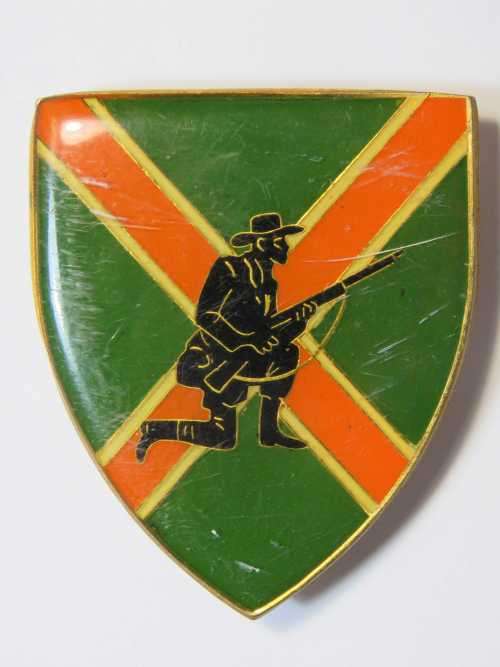 Danie Theron combat school shoulder flash