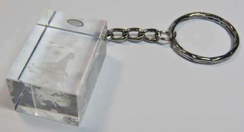Wild Horses sandblasted resin keychain