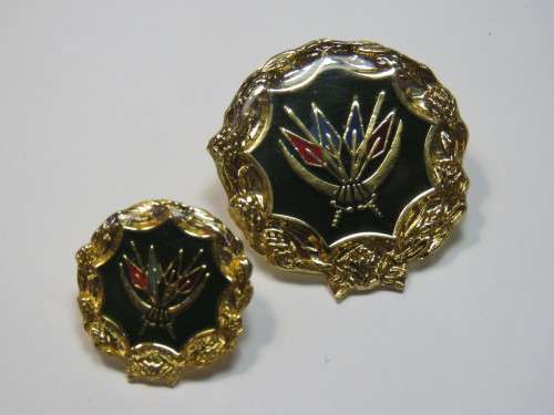 Lot of 2 SANDF emblem badges
