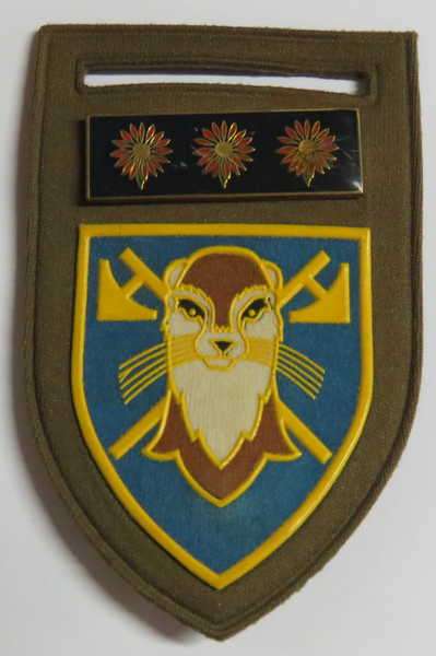 Kwandebele Defence 115 battalion tupperware flash with metal Northern Transvaal command bar