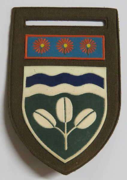 SADF Bronkhorstspruit Commando tupperware flash with Northern Transvaal command bar