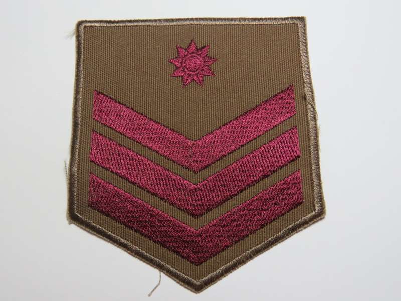 SA medical corps military health service staff sergeant rank badge