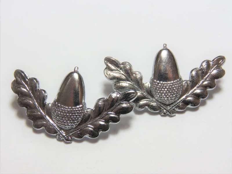 Pair of Stellenbosch University Regiment collar badges - chromed