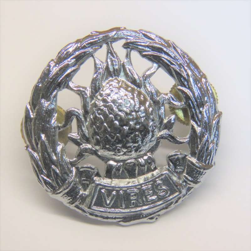 SADF Regiment Boland cap badge - chromed