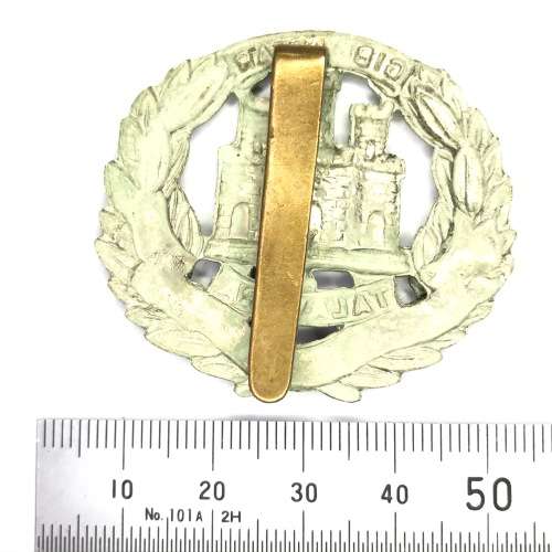 Northamptonshire regiment cap badge