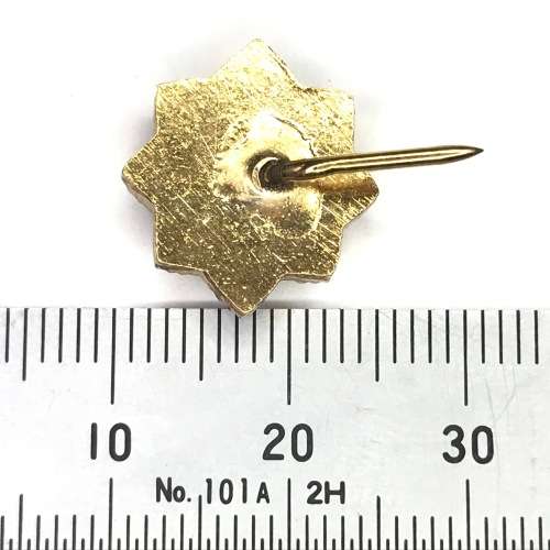 SA Police womans collar and tie badge