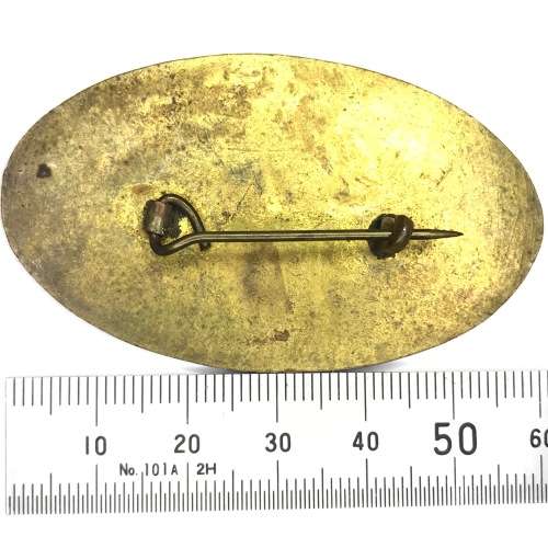 Ships Guard Badge