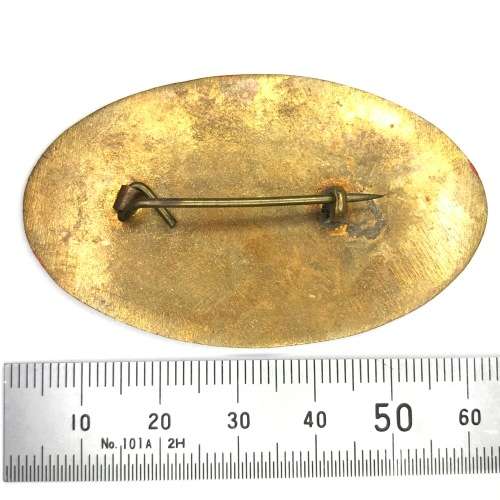 Ships Guard Badge