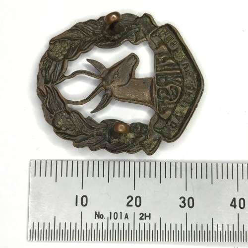 1st Reserve Brigade Collar Badge