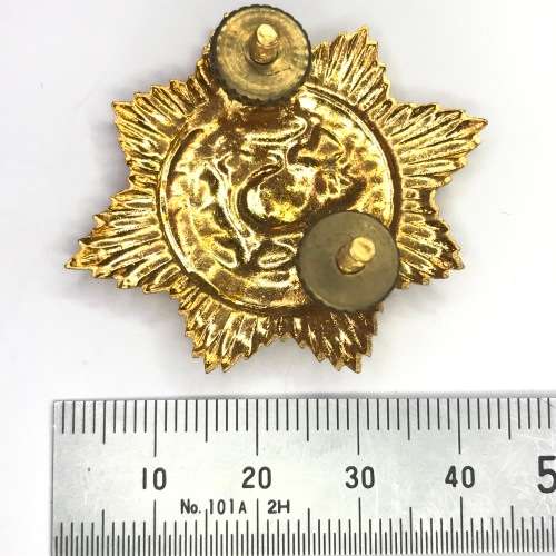 SA Police cap badge - solid centre