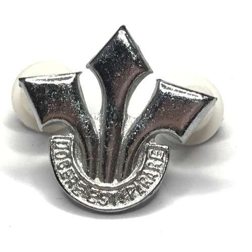 South Africa Corps of Professional Offers set of collar badges