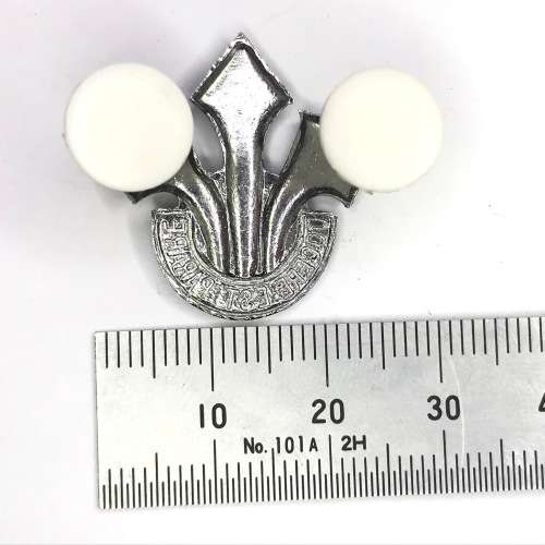 South Africa Corps of Professional Offers set of collar badges