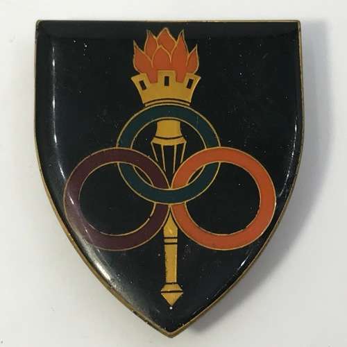 SA Army Ordnance Services school flash