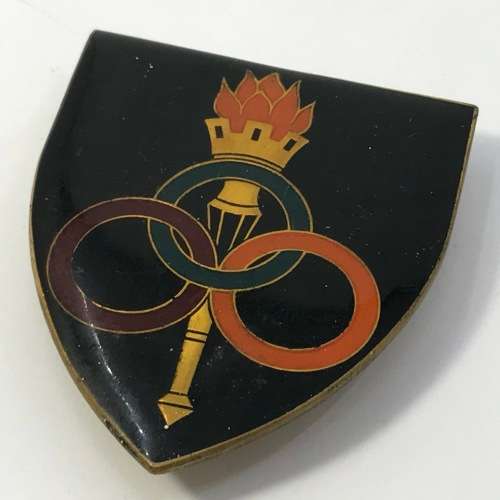 SA Army Ordnance Services school flash
