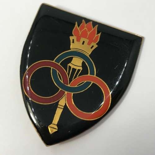 SADF Services school shoulder flash - 2 pins