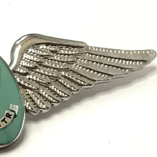 SA Army parachute static line instructor wing