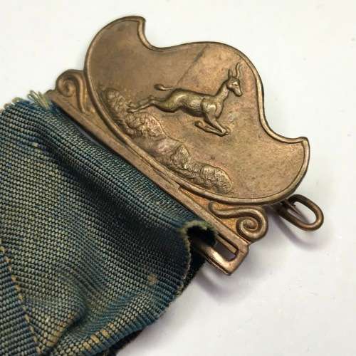 1910 Union of South Africa commemoration medallion with springbok clip