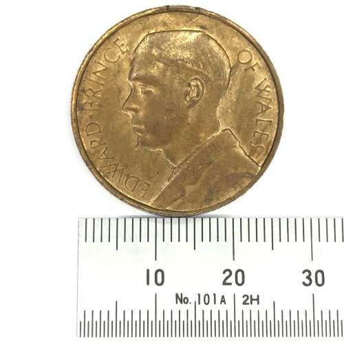 Prince Edward of Wales 1925 Natal visit medallion