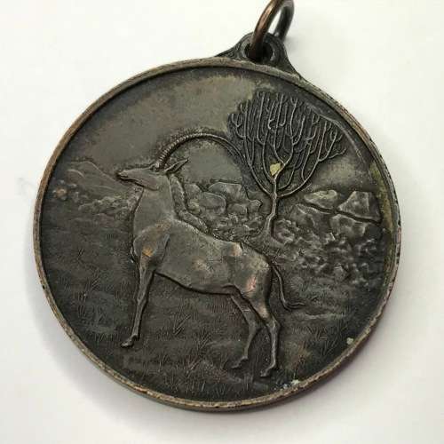 Southern Rhodesia occupation of Matabeleland 40th anniversary medallion 1893 - 1933
