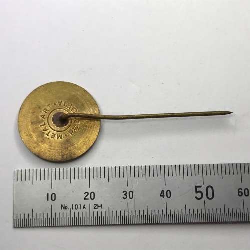S.A.N.S.G.U. Republiek Fees 1966 pin badge