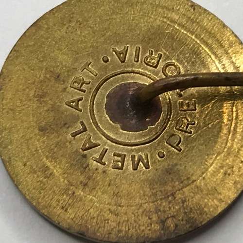 S.A.N.S.G.U. Republiek Fees 1966 pin badge