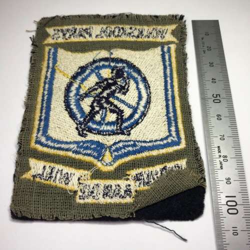 Vintage Volkskool Parys badge